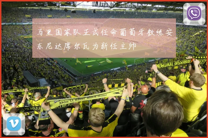 马里国家队正式任命葡萄牙教练安东尼达席尔瓦为新任主帅