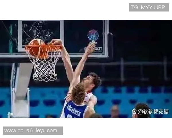 历史首次中锋对决约基奇与申京同场砍下30三双精彩瞬间回顾 历史首次中锋对决约基奇与申京同场砍下30三双精彩瞬间回顾